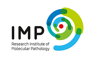 IMP Logo
